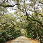5 Must-See Florida State Parks to Camp in Your Florida RV Rental